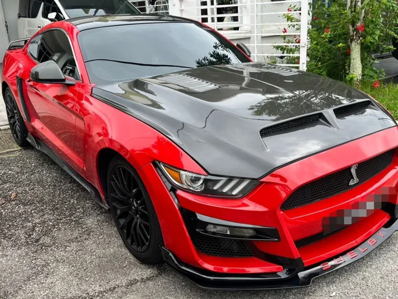 Ford Mustang GT 5.0